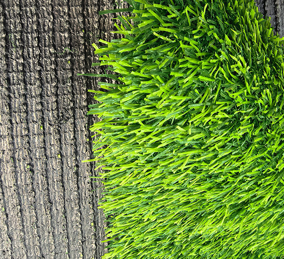 Leisure grass